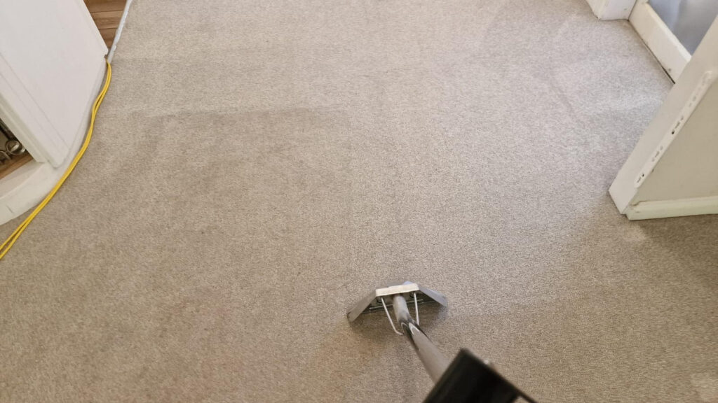 A Guide To Maintaining Your Carpets 3 unnamed