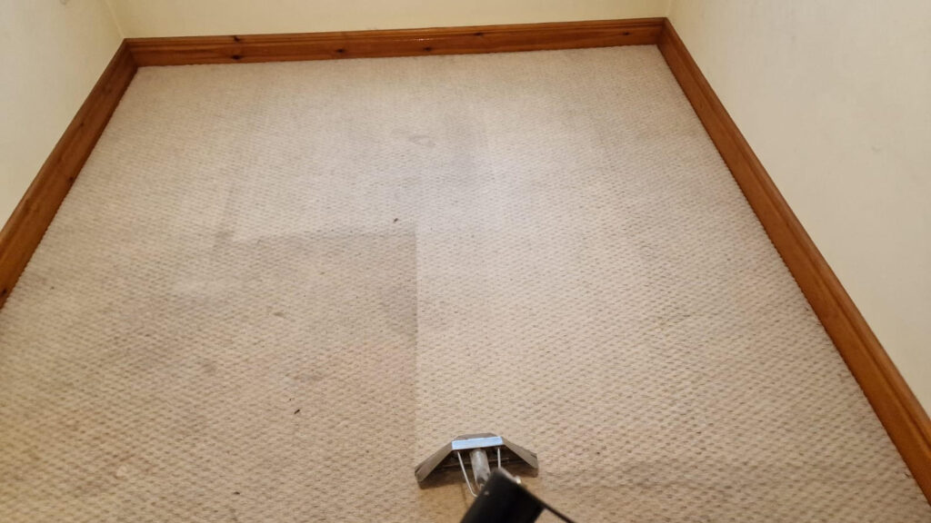 A Guide To Maintaining Your Carpets 1 unnamed 2 1