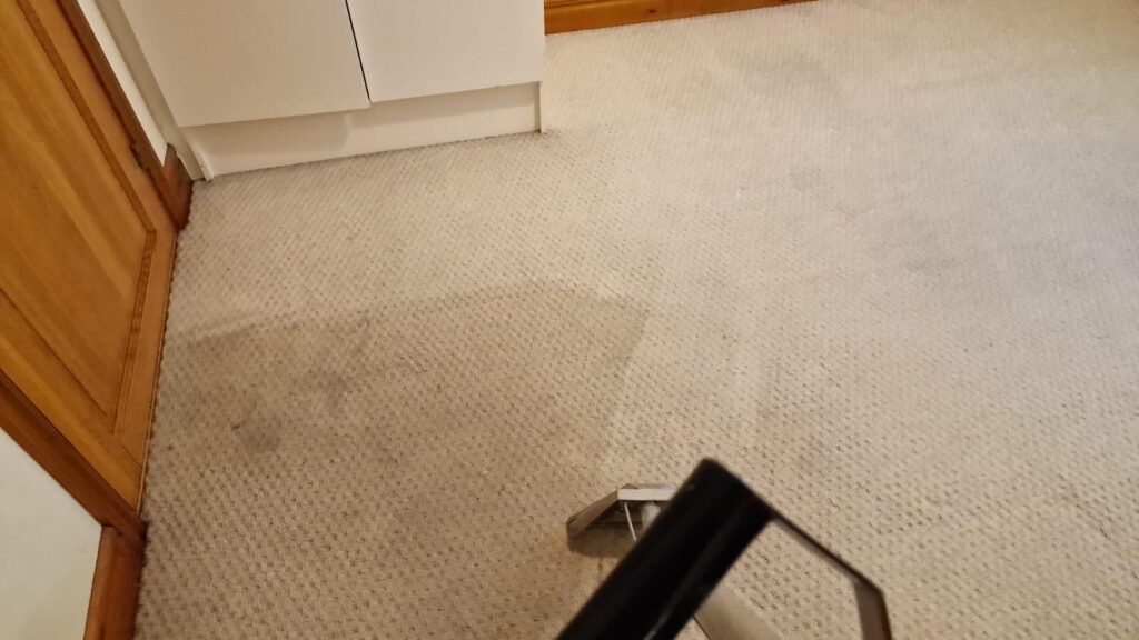 Carpet Cleaning Ascot